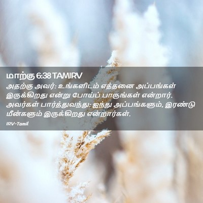 Picture 02 - மாற்கு 6:38 TAMIRV - அதற்கு அவர்: - Bible Verse Picture