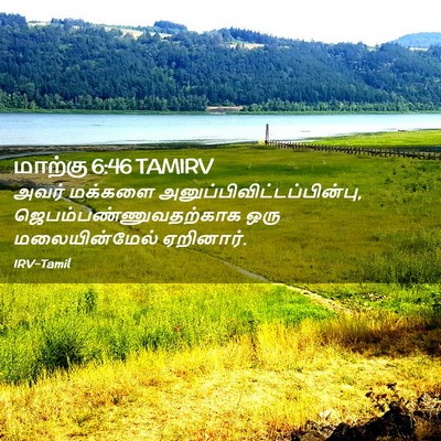 Picture 02 - மாற்கு 6:46 TAMIRV - அவர் மக்களை - Bible Verse Picture