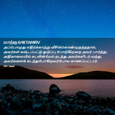 Picture 02 - மாற்கு 6:48 TAMIRV - அப்பொழுது - Bible Verse Picture