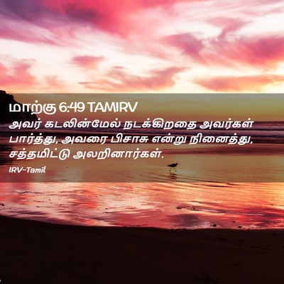 Picture 02 - மாற்கு 6:49 TAMIRV - அவர் கடலின்மேல் - Bible Verse Picture