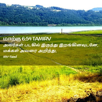 Picture 02 - மாற்கு 6:54 TAMIRV - அவர்கள் படகில் - Bible Verse Picture