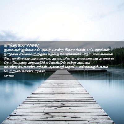 Picture 02 - மாற்கு 6:56 TAMIRV - இவைகள் இல்லாமல், - Bible Verse Picture