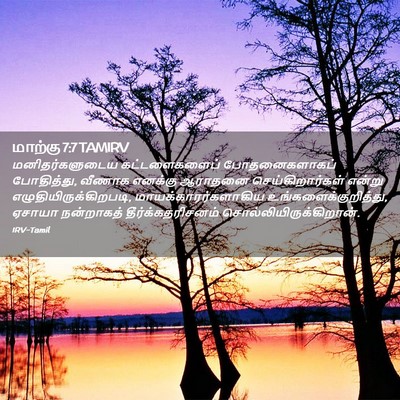 Picture 02 - மாற்கு 7:7 TAMIRV - மனிதர்களுடைய - Bible Verse Picture