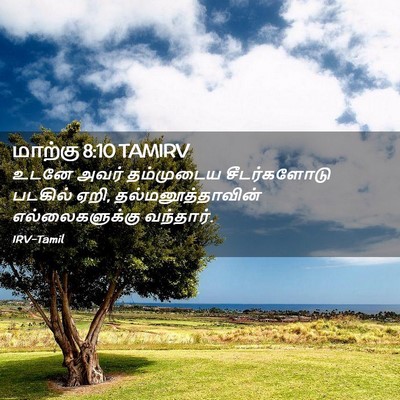 Picture 02 - மாற்கு 8:10 TAMIRV - உடனே அவர் - Bible Verse Picture