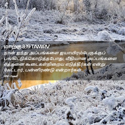 Picture 02 - மாற்கு 8:19 TAMIRV - நான் ஐந்து - Bible Verse Picture