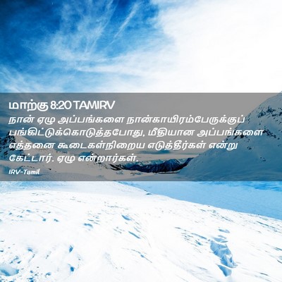Picture 02 - மாற்கு 8:20 TAMIRV - நான் ஏழு - Bible Verse Picture