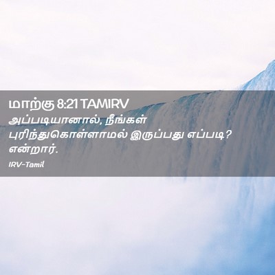 Picture 02 - மாற்கு 8:21 TAMIRV - அப்படியானால், - Bible Verse Picture