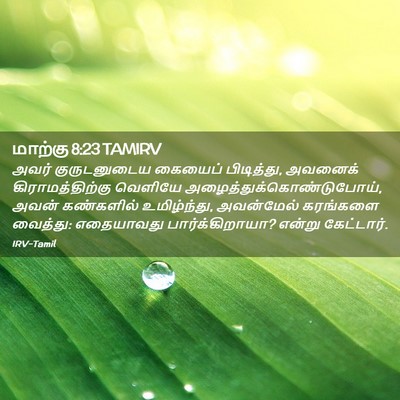 Picture 02 - மாற்கு 8:23 TAMIRV - அவர் குருடனுடைய - Bible Verse Picture