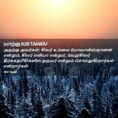 Picture 02 - மாற்கு 8:28 TAMIRV - அதற்கு அவர்கள்: - Bible Verse Picture
