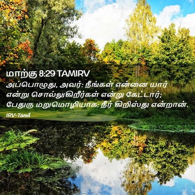 Picture 02 - மாற்கு 8:29 TAMIRV - அப்பொழுது, அவர்: - Bible Verse Picture