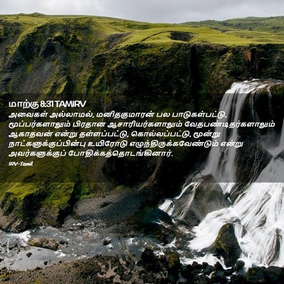 Picture 02 - மாற்கு 8:31 TAMIRV - அவைகள் அல்லாமல், - Bible Verse Picture