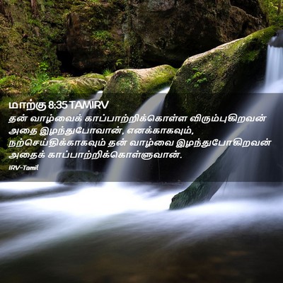 Picture 02 - மாற்கு 8:35 TAMIRV - தன் வாழ்வைக் - Bible Verse Picture