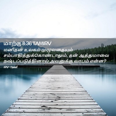 Picture 02 - மாற்கு 8:36 TAMIRV - மனிதன் உலகம் - Bible Verse Picture