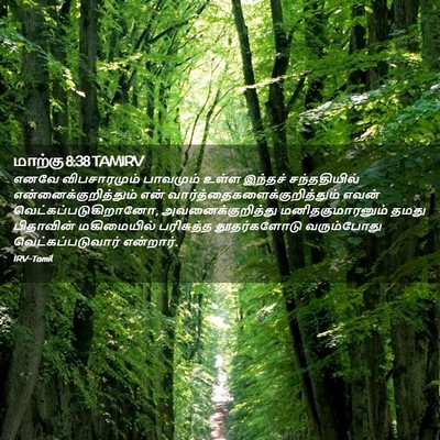 Picture 02 - மாற்கு 8:38 TAMIRV - எனவே விபசாரமும் - Bible Verse Picture
