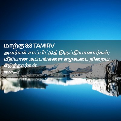Picture 02 - மாற்கு 8:8 TAMIRV - அவர்கள் - Bible Verse Picture