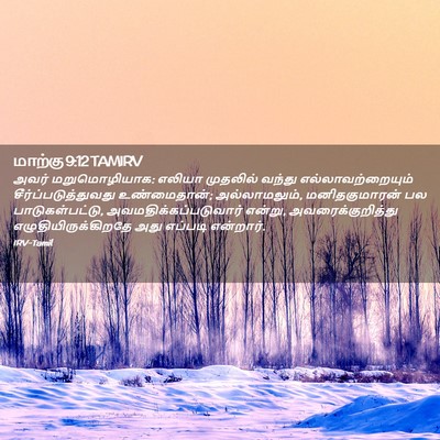 Picture 02 - மாற்கு 9:12 TAMIRV - அவர் மறுமொழியாக: - Bible Verse Picture