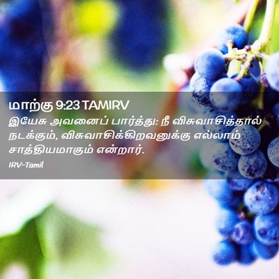 Picture 02 - மாற்கு 9:23 TAMIRV - இயேசு அவனைப் - Bible Verse Picture