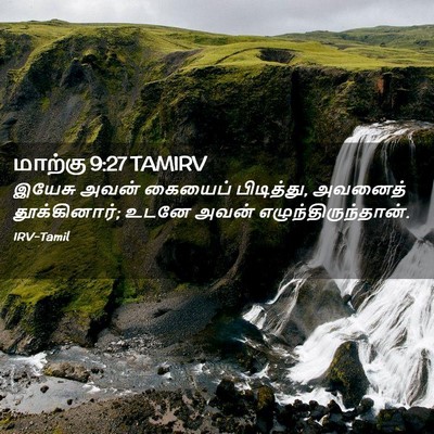 Picture 02 - மாற்கு 9:27 TAMIRV - இயேசு அவன் கையைப் - Bible Verse Picture
