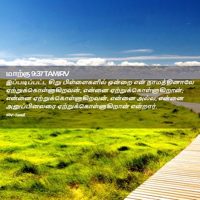 Picture 02 - மாற்கு 9:37 TAMIRV - இப்படிப்பட்ட சிறு - Bible Verse Picture