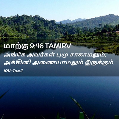 Picture 02 - மாற்கு 9:46 TAMIRV - அங்கே அவர்கள் - Bible Verse Picture