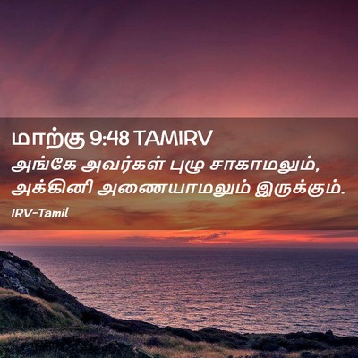 Picture 02 - மாற்கு 9:48 TAMIRV - அங்கே அவர்கள் - Bible Verse Picture