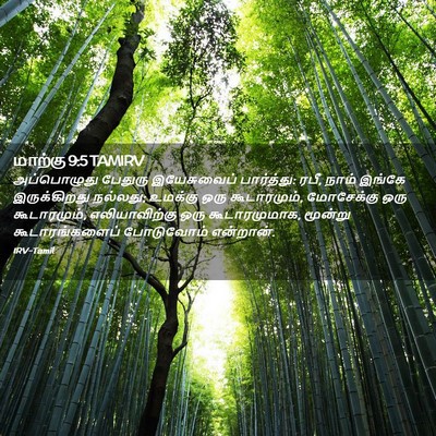 Picture 02 - மாற்கு 9:5 TAMIRV - அப்பொழுது பேதுரு - Bible Verse Picture