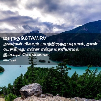 Picture 02 - மாற்கு 9:6 TAMIRV - அவர்கள் மிகவும் - Bible Verse Picture
