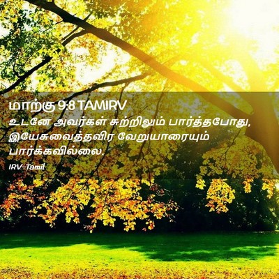 Picture 02 - மாற்கு 9:8 TAMIRV - உடனே அவர்கள் - Bible Verse Picture
