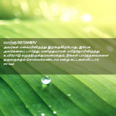 Picture 02 - மாற்கு 9:9 TAMIRV - அவர்கள் - Bible Verse Picture