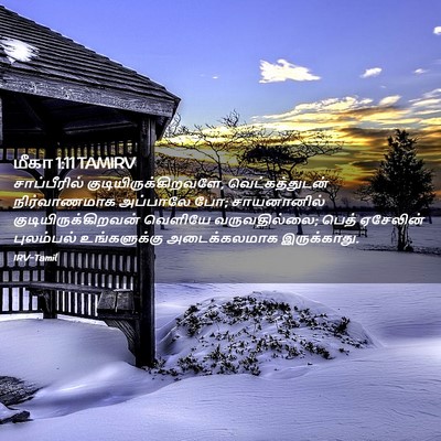 Picture 02 - மீகா 1:11 TAMIRV - சாப்பீரில் - Bible Verse Picture