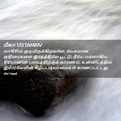 Picture 02 - மீகா 1:13 TAMIRV - லாகீசில் - Bible Verse Picture