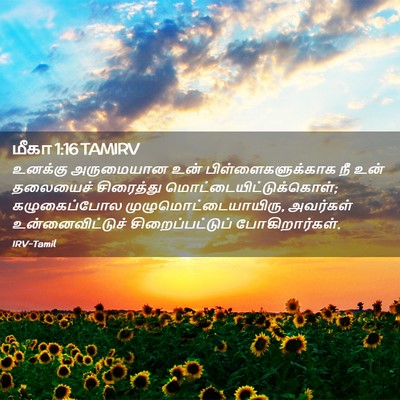 Picture 02 - மீகா 1:16 TAMIRV - உனக்கு அருமையான - Bible Verse Picture