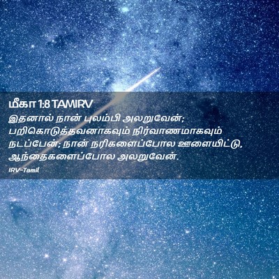 Picture 02 - மீகா 1:8 TAMIRV - இதனால் நான் - Bible Verse Picture
