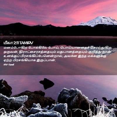 Picture 02 - மீகா 2:11 TAMIRV - மனம்போகிற - Bible Verse Picture
