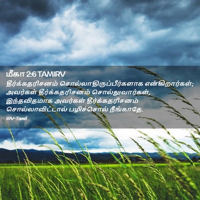 Picture 02 - மீகா 2:6 TAMIRV - தீர்க்கதரிசனம் - Bible Verse Picture