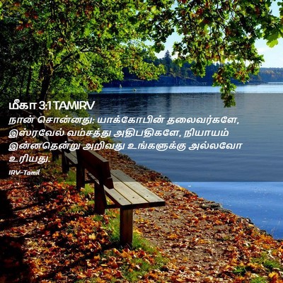 Picture 02 - மீகா 3:1 TAMIRV - நான் சொன்னது: - Bible Verse Picture
