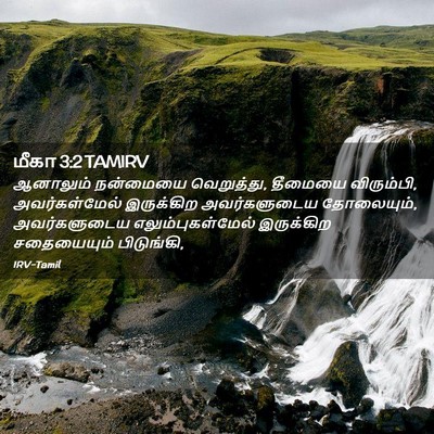 Picture 02 - மீகா 3:2 TAMIRV - ஆனாலும் நன்மையை - Bible Verse Picture