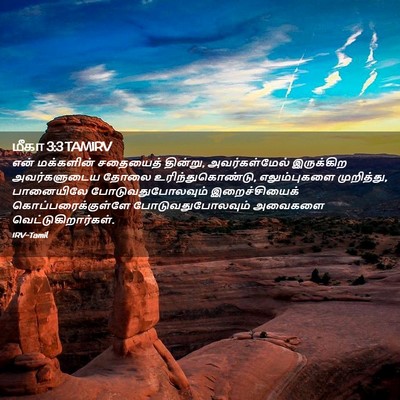 Picture 02 - மீகா 3:3 TAMIRV - என் மக்களின் - Bible Verse Picture