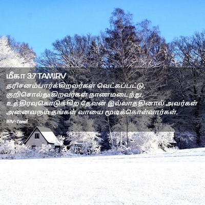 Picture 02 - மீகா 3:7 TAMIRV -  - Bible Verse Picture