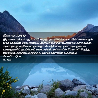 Picture 02 - மீகா 4:2 TAMIRV - திரளான மக்கள் - Bible Verse Picture
