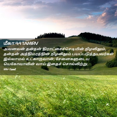 Picture 02 - மீகா 4:4 TAMIRV - அவனவன் தன்தன் - Bible Verse Picture