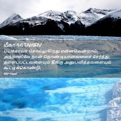 Picture 02 - மீகா 4:6 TAMIRV - யெகோவா - Bible Verse Picture