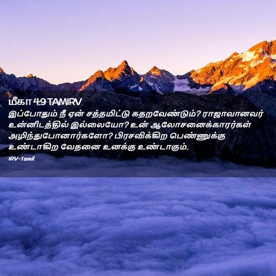 Picture 02 - மீகா 4:9 TAMIRV - இப்போதும் நீ ஏன் - Bible Verse Picture