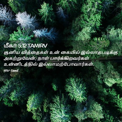 Picture 02 - மீகா 5:12 TAMIRV - சூனிய வித்தைகள் - Bible Verse Picture