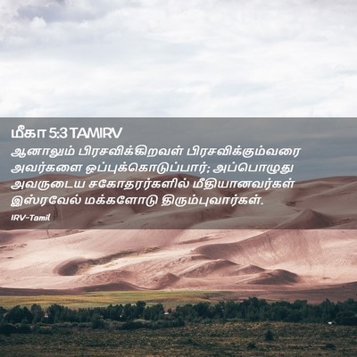 Picture 02 - மீகா 5:3 TAMIRV - ஆனாலும் - Bible Verse Picture