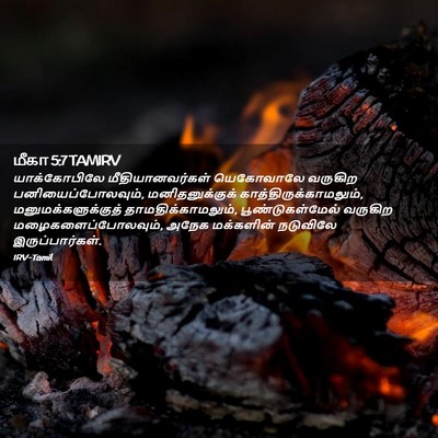 Picture 02 - மீகா 5:7 TAMIRV - யாக்கோபிலே - Bible Verse Picture