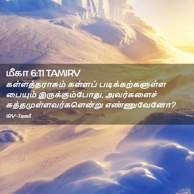 Picture 02 - மீகா 6:11 TAMIRV - கள்ளத்தராசும் - Bible Verse Picture