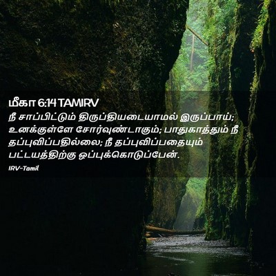 Picture 02 - மீகா 6:14 TAMIRV - நீ சாப்பிட்டும் - Bible Verse Picture