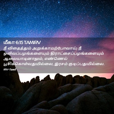 Picture 02 - மீகா 6:15 TAMIRV - நீ விதைத்தும் - Bible Verse Picture