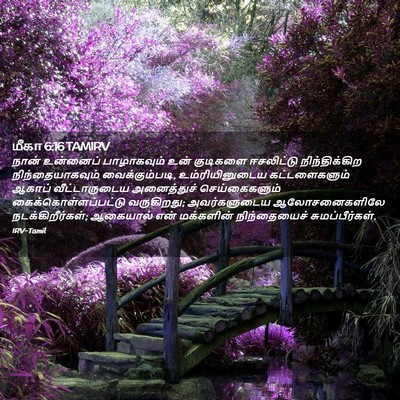 Picture 02 - மீகா 6:16 TAMIRV - நான் உன்னைப் - Bible Verse Picture
